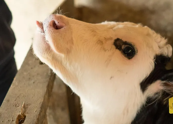 Fortview 3* Enniscrone